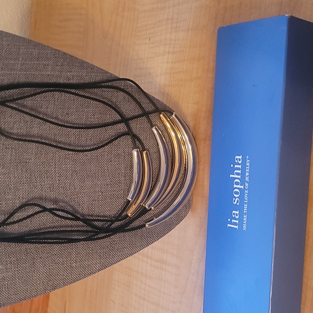 Lia Sophia Kiam Family Collection 2-Toned Necklace